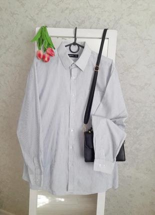 Сорочка з чоловічого плеча в смужку cedarwood state