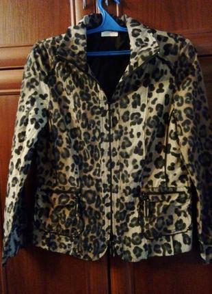 Леопардовая ветровка-пиджак.