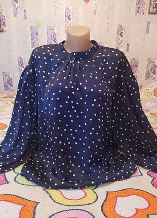 Блуза в горох