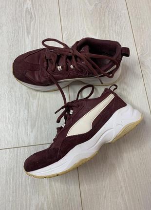 Кросівки puma