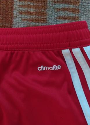 Спортивні шорти adidas climalite4 фото