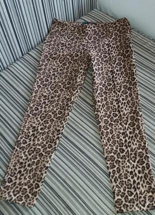 Модные леопардовые брючки от befree. s-m.2 фото
