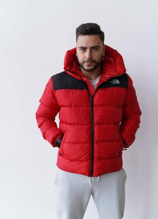 Зимняя куртка мужская the north face 700. пуховик мужской зимний tnf люкс качества красного цвета6 фото