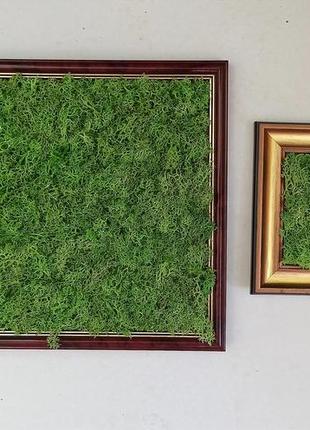Картіни на стіну з стабілізірованним мохом. рамка 30*40 та 10*15 з мохом