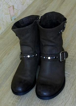 Классные кожаные деми ботинки primadonna,италия,38 р.2 фото