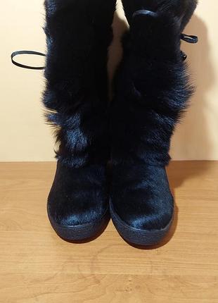 Жіночі чоботи cristina