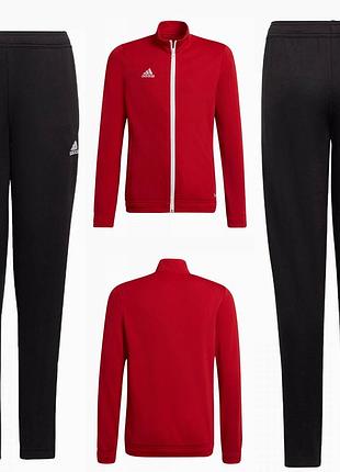 Костюм adidas entrada 22