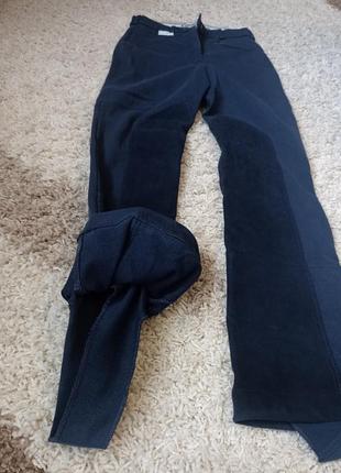 Бриджі, штани для верхової їзди тренерські, розмір м5 фото