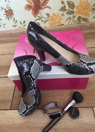 Витончені туфлі, будьте в тренді!