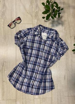 Сорочка ділєтка у клітинку