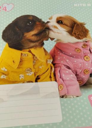 Зошит kite studio pets 24 аркуша, клітинка,покриття софт-тач+лак.