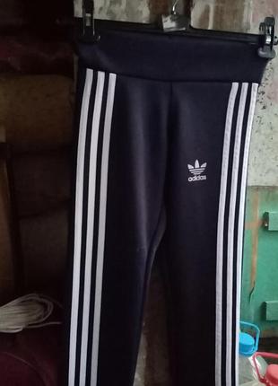 Спортивні штани