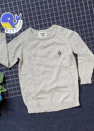 Теплий светр для хлопчика / 4 роки / 104-110 см / somedaysoon1 фото