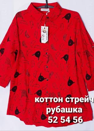 Блузка рубашка женская коттоновая стрейч красная с принтом 52 54 56