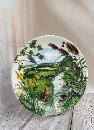 Тарілка wedgwood