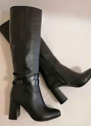 Чоботи шкіряні демізесон