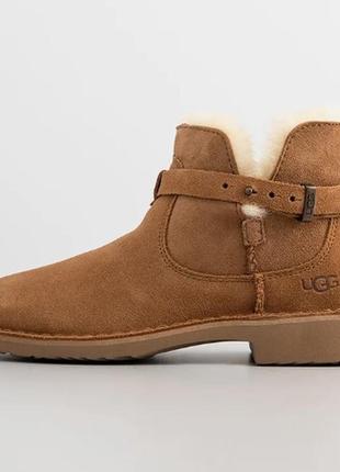 Уггі ugg1 фото