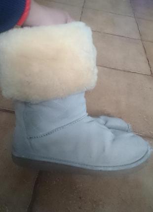 Распродажа натуральные угги ugg2 фото