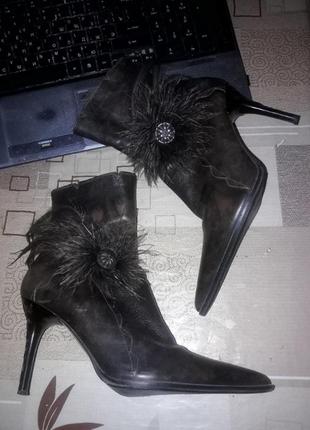 Ilianfossa півчобітки р. 36 шкіра