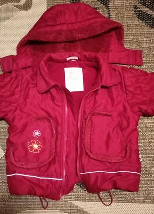 Куртка для дівчинки
