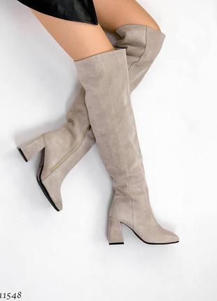 Ботфорты натуральная замша деми сапоги