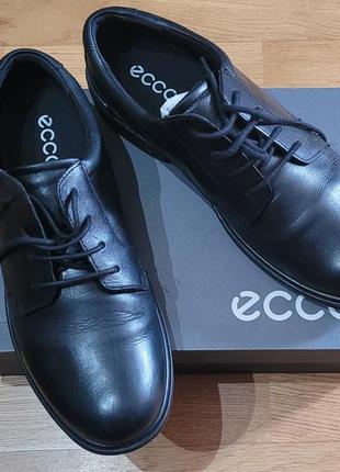 Туфлі ecco