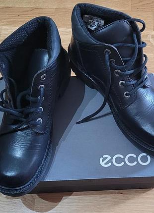 Чоботи ecco