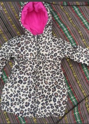 Куртка зинняя леопардовая для девочки на флисе2 фото