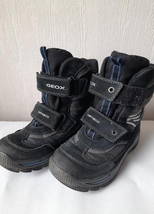 Зимові черевики geox.