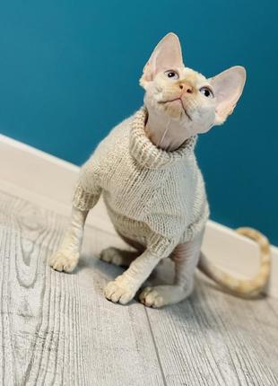 В’язані светри, кофтинки для котиків та собачок5 фото