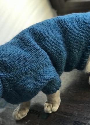 В’язані светри, кофтинки для котиків та собачок6 фото