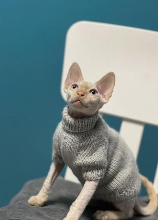 В’язані светри, кофтинки для котиків та собачок2 фото
