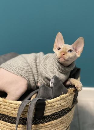 В’язані светри, кофтинки для котиків та собачок4 фото