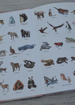 Дикі тварини 50 найвідоміших видів: міні-енциклопедія4 фото
