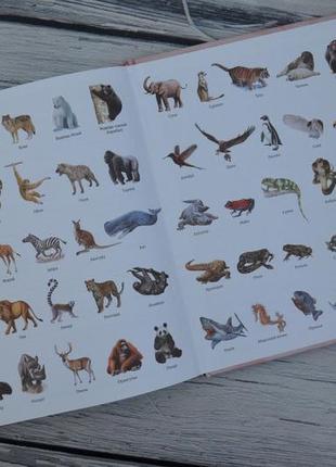 Дикі тварини 50 найвідоміших видів: міні-енциклопедія3 фото