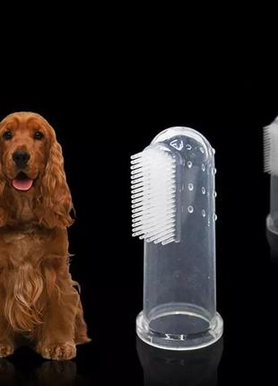 Зубна щітка для вашого улюбленця/собаки