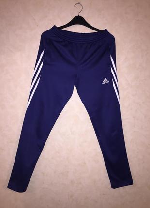 Спортивні штани adidas