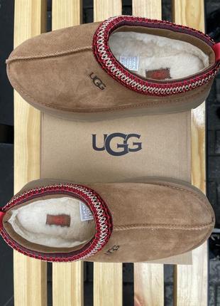 Ugg tazz уггі