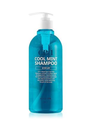 Освіжний шампунь для волосся esthetic house cp-1 cool mint shampoo, 500 мл.1 фото