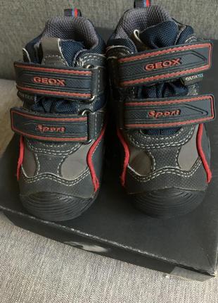 Демисезонні ботинки geox напівчеревики з утепленням 213 фото