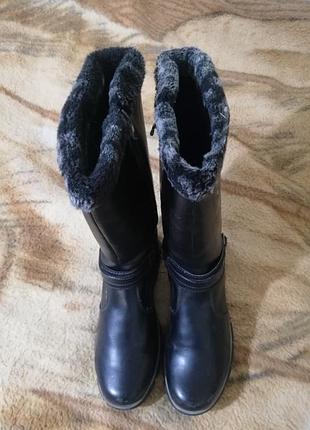 Женские сапожки.