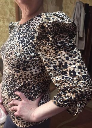 Очень красивая леопардовая кофта блуза на 50-54 укр3 фото