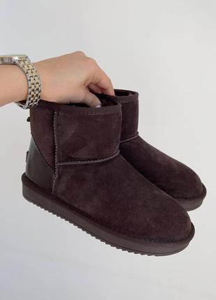 Женские угги ugg1 фото