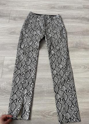 Жіночі штани