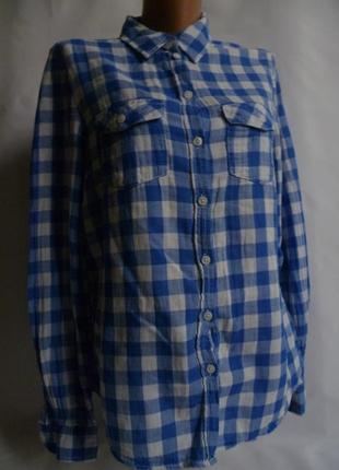 Сорочка в біло-синю клітинку h&m бавовна