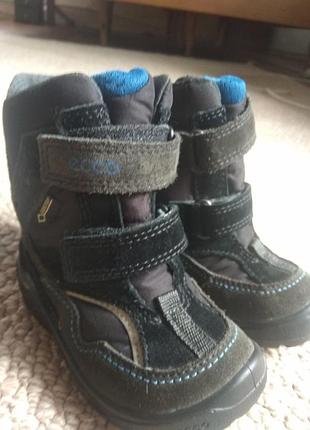 Зимові черевики ecco 3