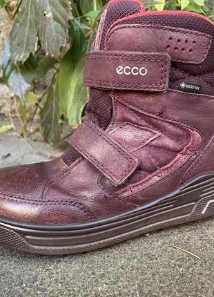 Кожаные зимние ботинки ecco gore-tex 32 р