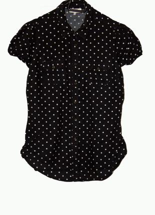 Нарядная котоновая рубашка блуза в горошек uk101 фото