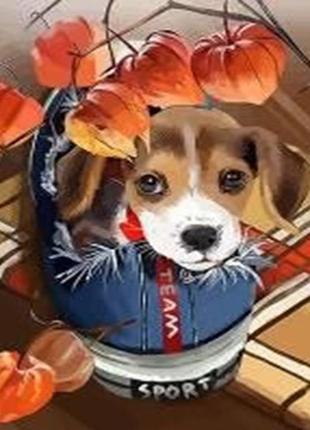 Алмазна вишивка. картина на підрамнику "осінній сплін", розмір 20х30 см