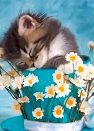 Алмазна вишивка. картина на підрамнику "сон в ромашках", розмір 20х30 см